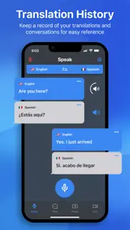 translate anything iphone screenshot 3