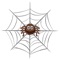 Icon Card Spider
