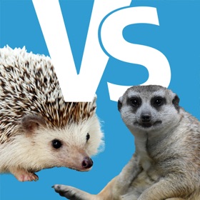 どうぶつインベーダー - オンライン1vs1対戦バトルゲーム