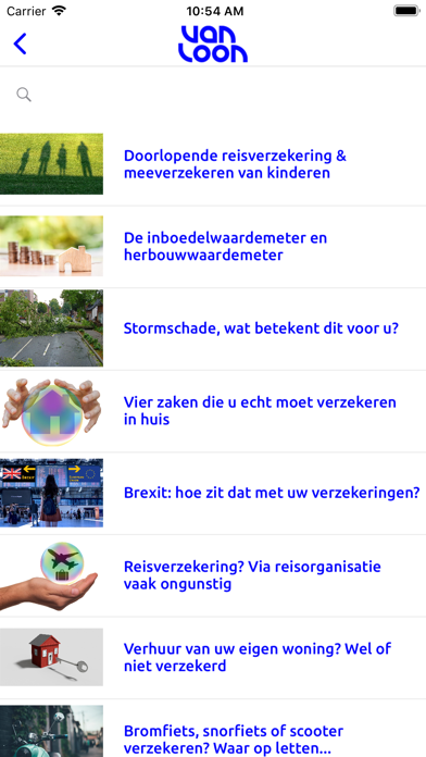 Van Loon Assurantiën Screenshot