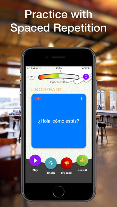 Lingophant - speak and learn Screenshot
