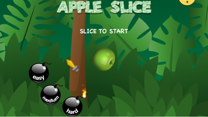 Apple Slice Screenshot