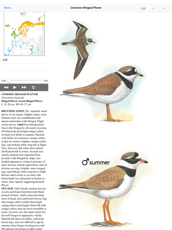 Screenshot #4 pour Eastern Europe Birds