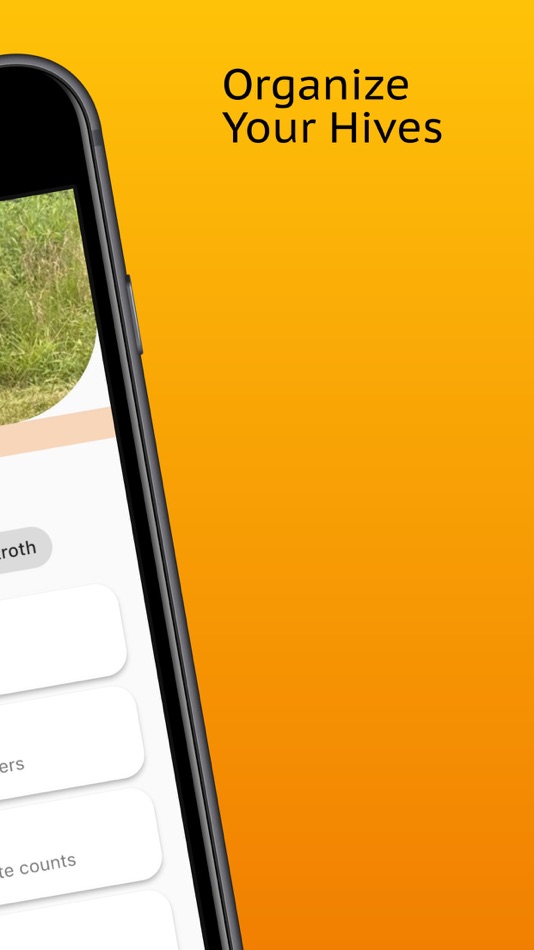 #5. HiveBloom (iOS) 由: Martin Fuhry
