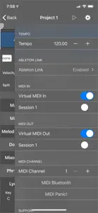 ChordBud 2 AUv3 MIDI Sequencer screenshot #6 for iPhone