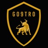 Go9Tro Wireless Mobile icon