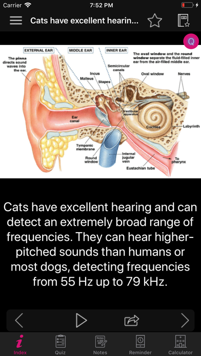 Human Anatomy Ears Facts, Quizのおすすめ画像4