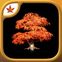 Fire Maple Games - Collection apk