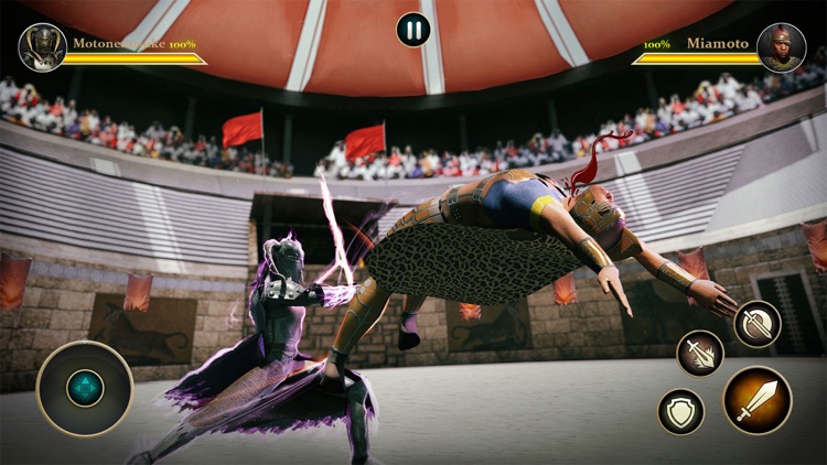 Sword Fight: Sword Fighting 3D screenshot-4
