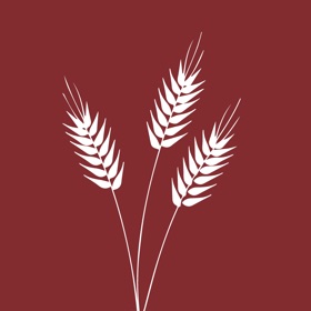 Artisan Bread for iPad