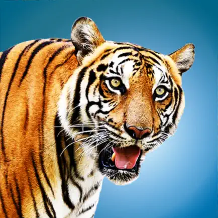 Wild Tiger Hunting Animal Life Cheats
