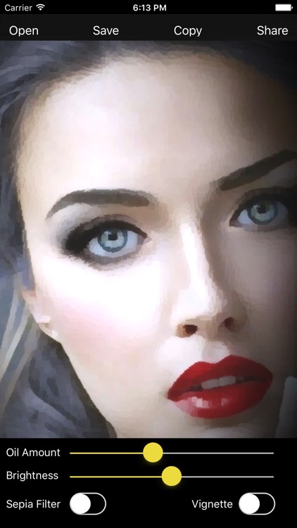 Oil Paint - Photo to Art Maker