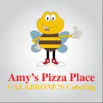 Amy’s Pizza Place App Contact
