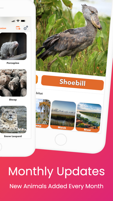 YipYap - Animal Discovery Screenshot