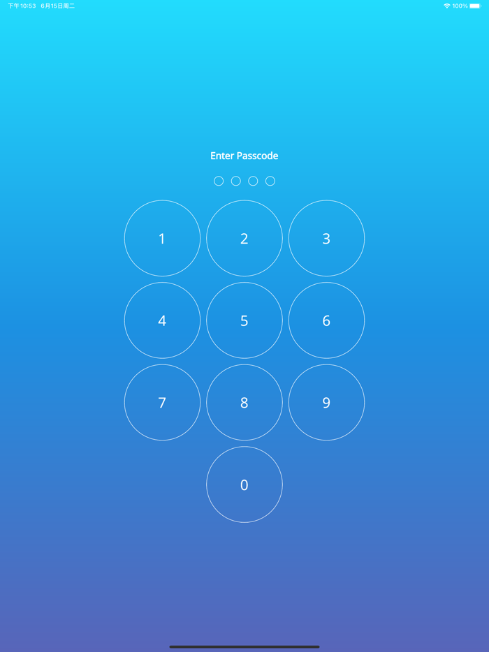 Diary Journal - With Lock