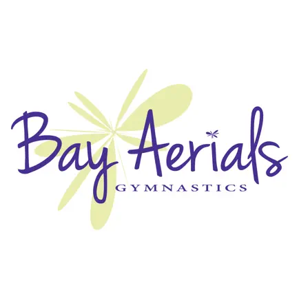 Bay Aerials Gymnastics Cheats