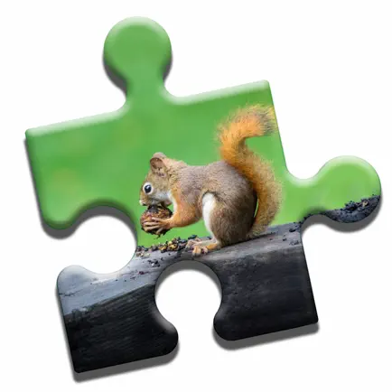 Squirrel Love Puzzle Читы