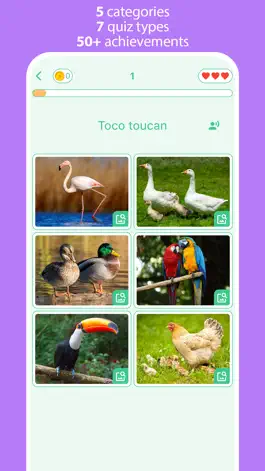 Game screenshot Animals: 4 Pics & Word Quiz apk