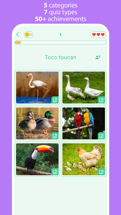 Animals: 4 Pics & Word Quiz Screenshot