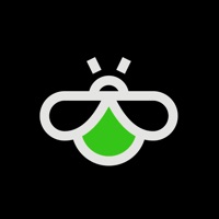 FireBug Night Vision logo
