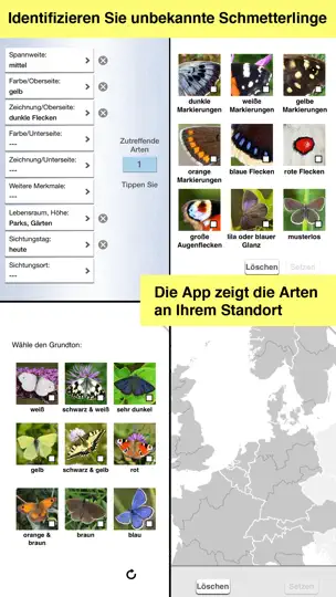 Screenshot von Schmetterlinge Bestimmen auf dem iPhone 5