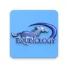 Equine Anatomy Learning Aid Positive Reviews, comments