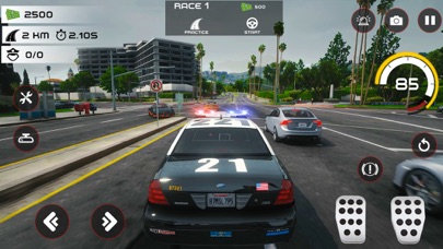 Highway Police Chase Simulator Screenshot