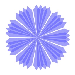 Cornflower