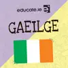 Educate.ie Gaeilge Exam Audio contact information