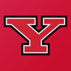 Youngstown State Penguins icon