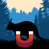 Raccoon Magnet–Raccoon Sounds icon