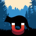 Download Raccoon Magnet–Raccoon Sounds app