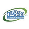 掌上12333 icon