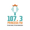 Rádio Princesa FM 107.3 MHZ icon