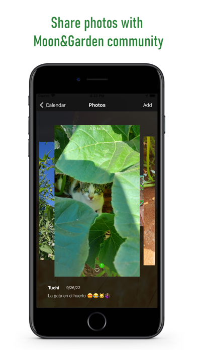 Moon & Garden Screenshot