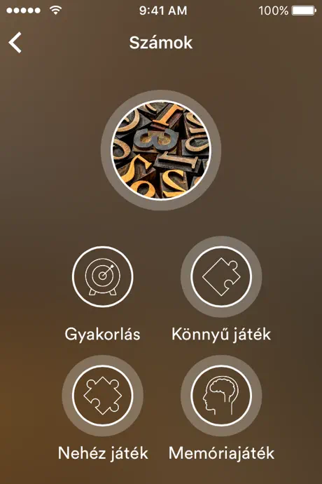 Guru Maps Pro — Offline Karten
