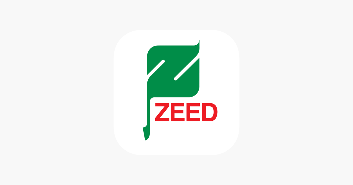 Zeed сайт. Zeed сайт