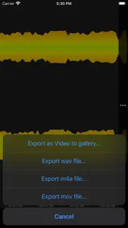 wave audio editor iphone screenshot 3