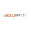 ProfilDeposu Positive Reviews, comments