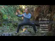 qi gong for anxiety ipad images 1
