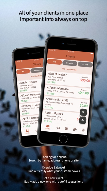 Business Manager: Lawn, Pool,+ screenshot-4