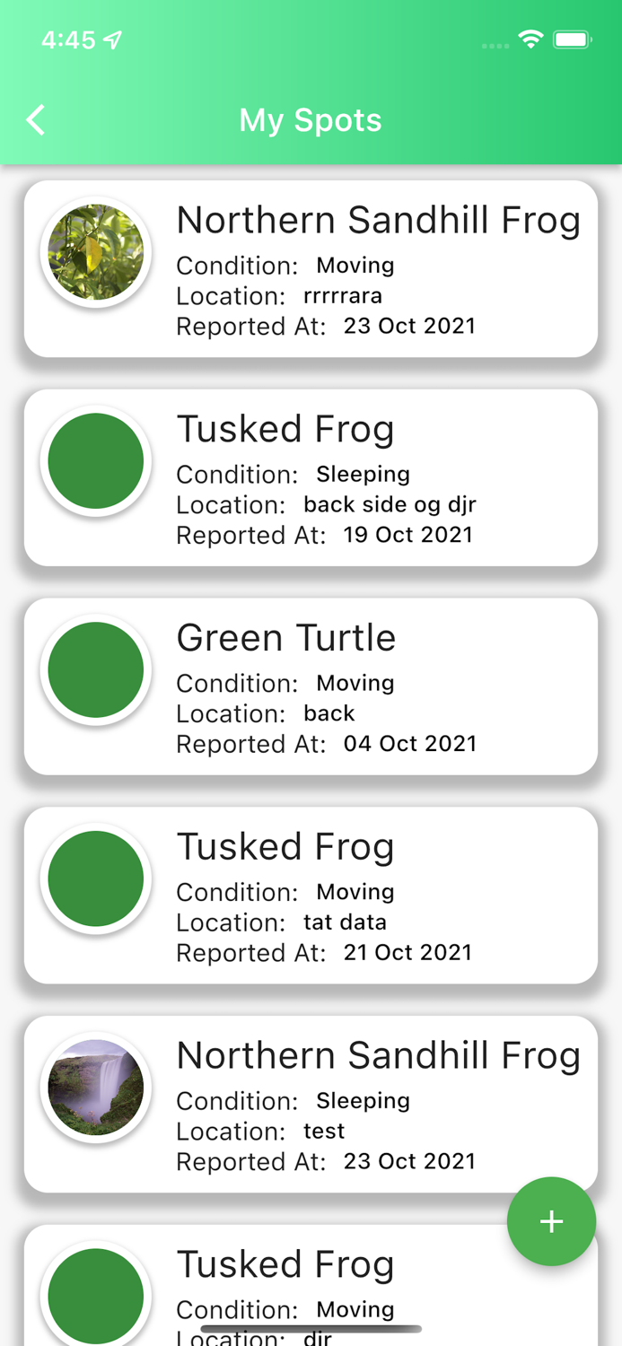 Byron Bay Wildlife Hospital