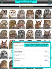 ibird pro guide to birds ipad images 1