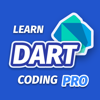 Learn Dart Programming Offline - Shahbaz Khan