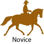 2022 WDAA Novice Tests App Support