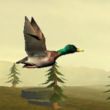 Wild Duck Hunter Cheats