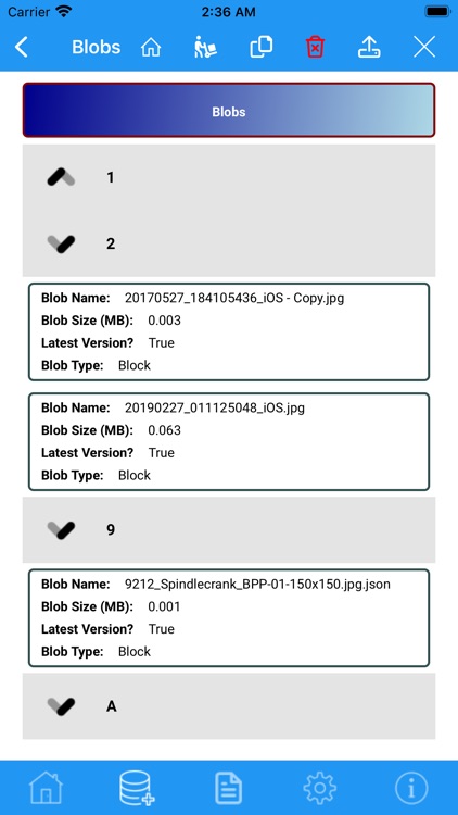 Azure Simple Storage Manager screenshot-9