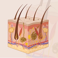 Learn Integumentary System logo