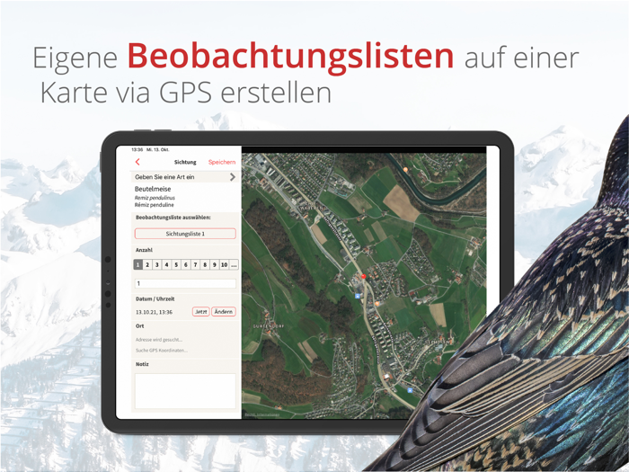 Vogelführer Birdlife Schweiz