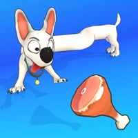 Tall Dog